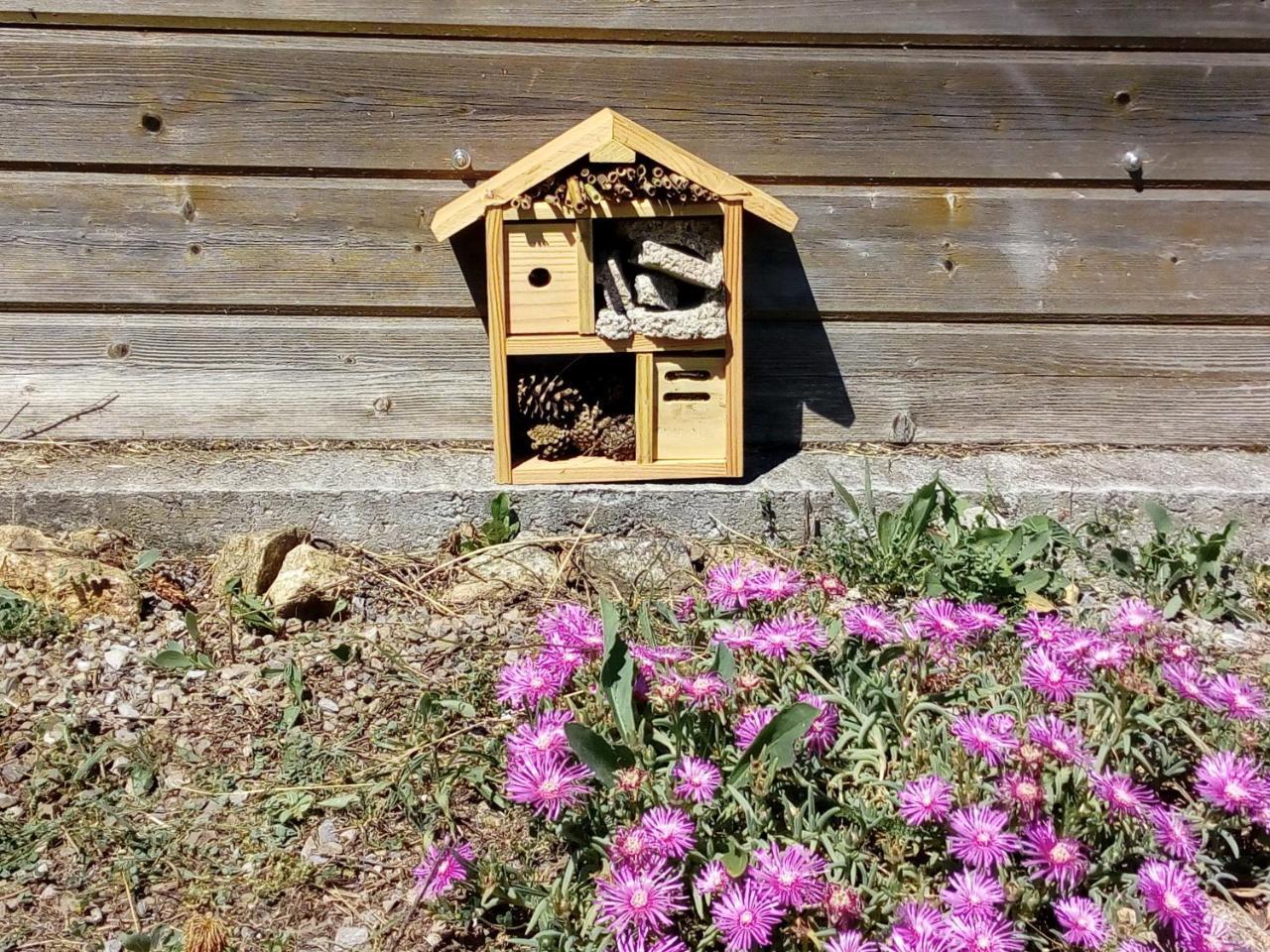 Les Chalets Du Gua Des Brasses Villa La Salvetat-sur-Agout ภายนอก รูปภาพ