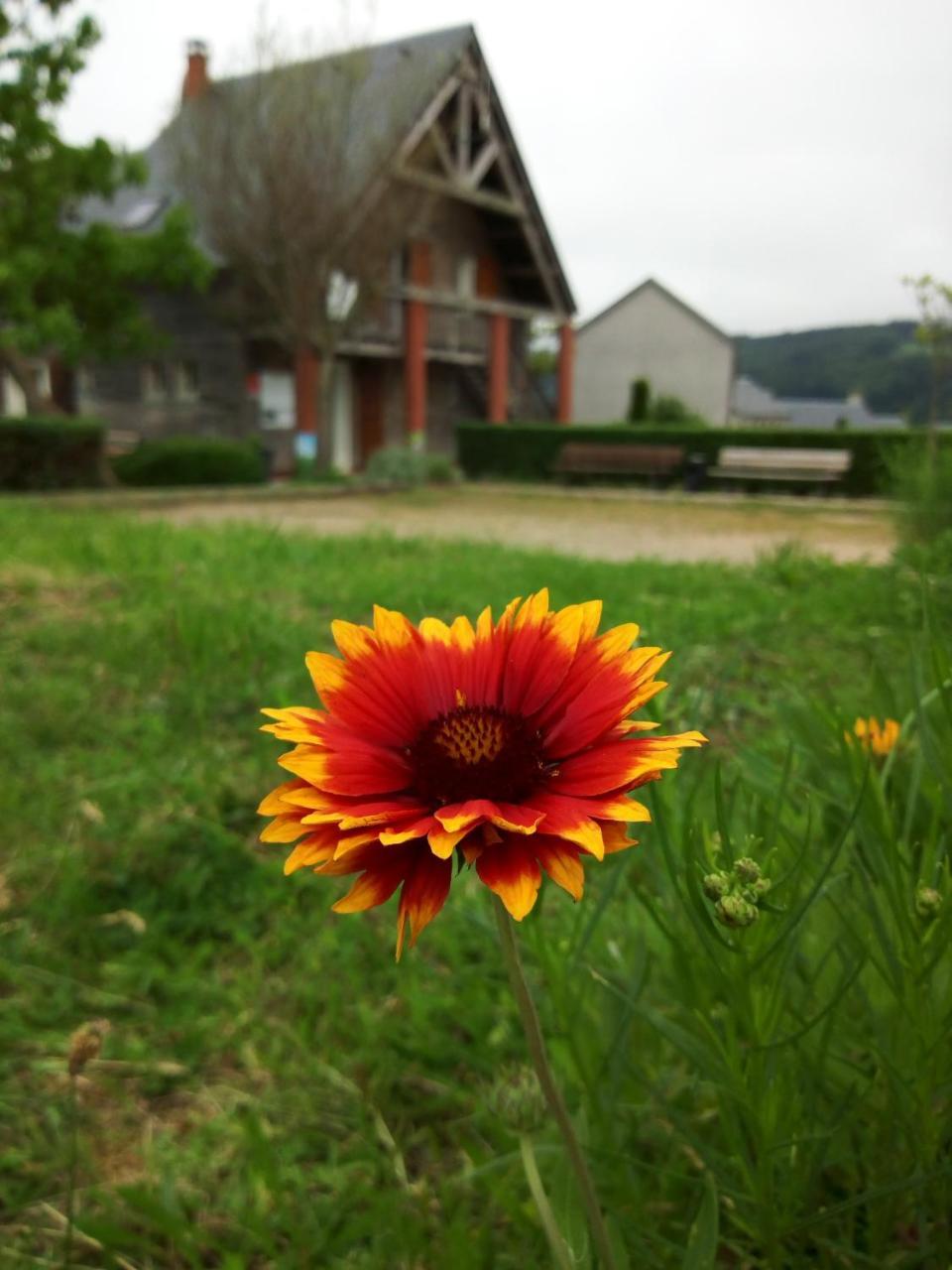 Les Chalets Du Gua Des Brasses Villa La Salvetat-sur-Agout ภายนอก รูปภาพ