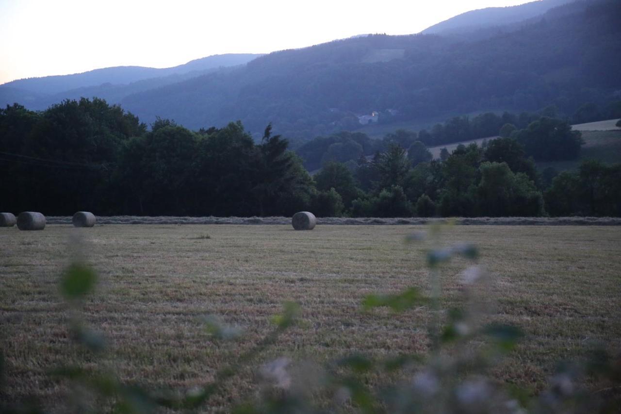 Les Chalets Du Gua Des Brasses Villa La Salvetat-sur-Agout ภายนอก รูปภาพ