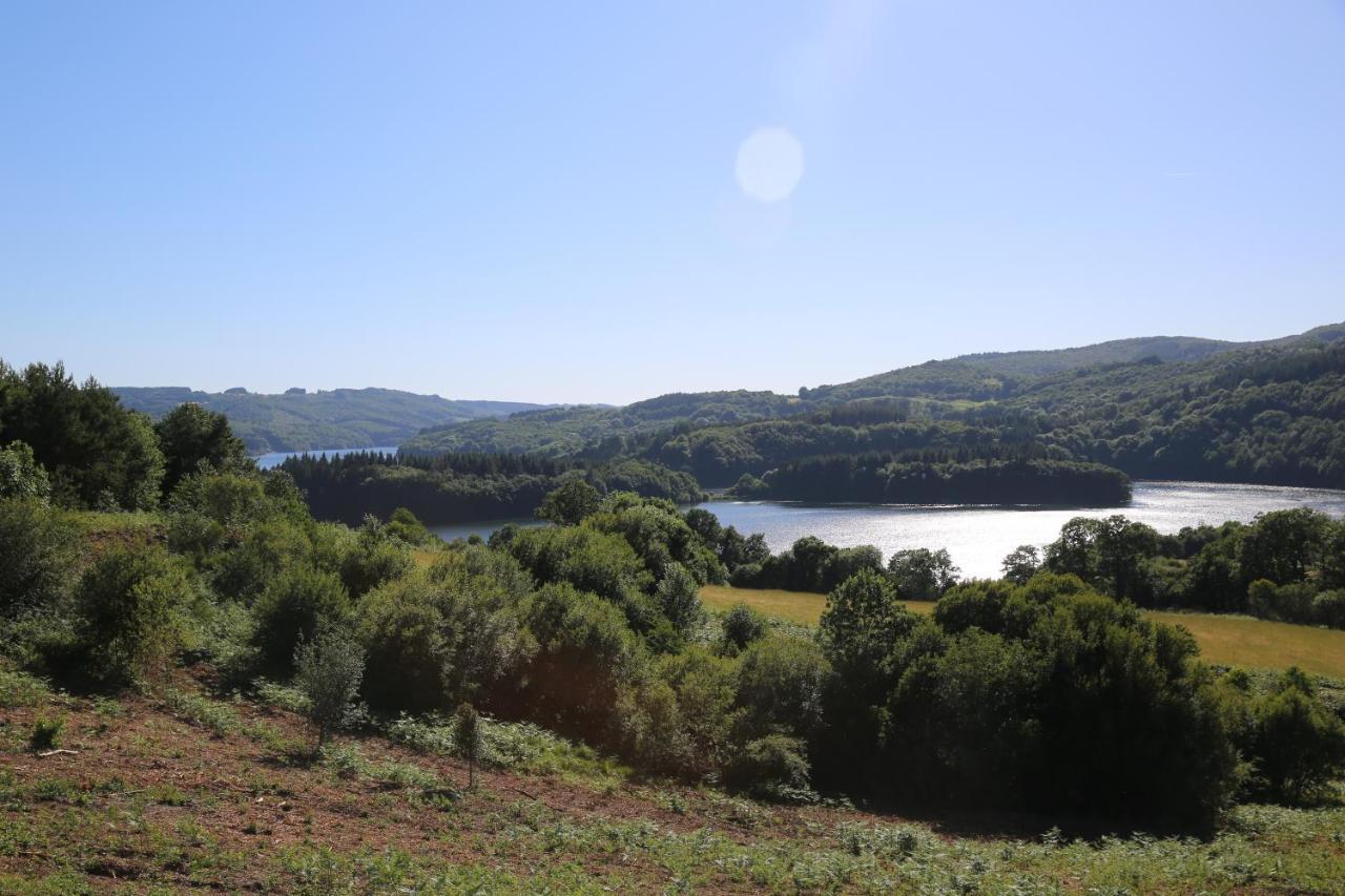 Les Chalets Du Gua Des Brasses Villa La Salvetat-sur-Agout ภายนอก รูปภาพ