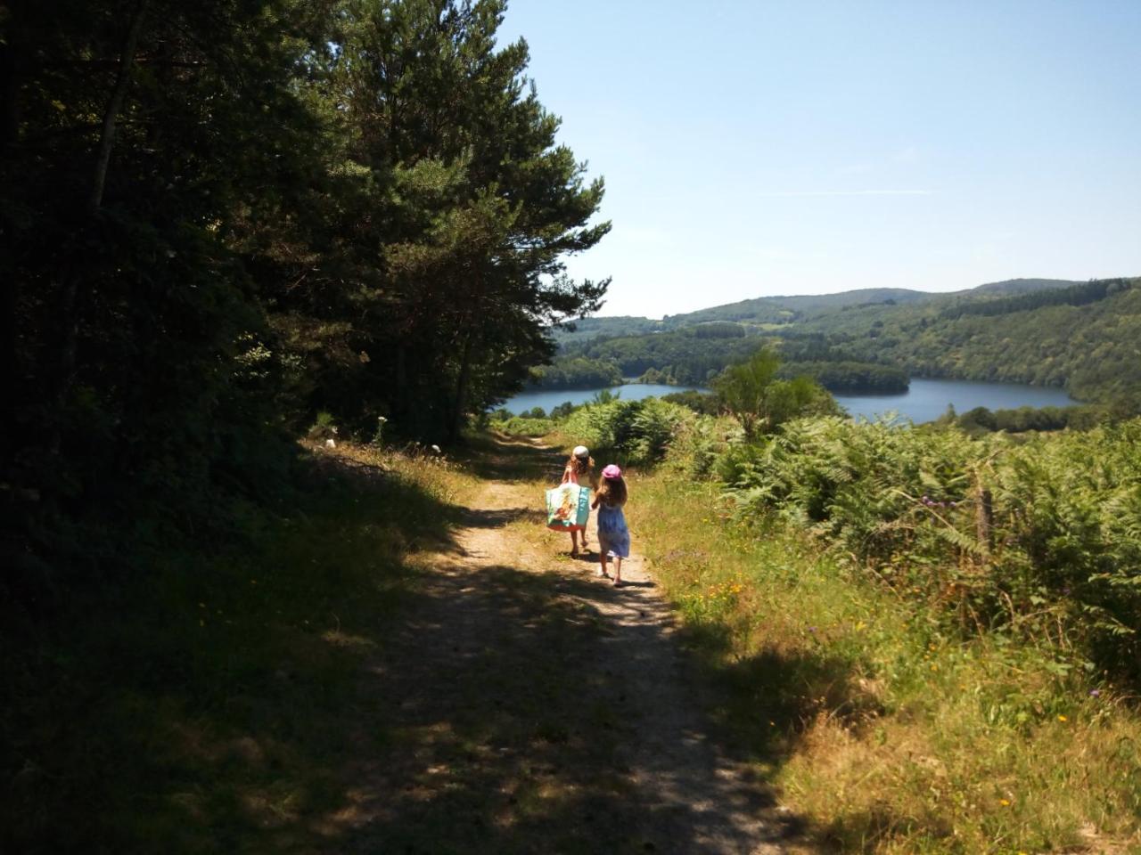 Les Chalets Du Gua Des Brasses Villa La Salvetat-sur-Agout ภายนอก รูปภาพ